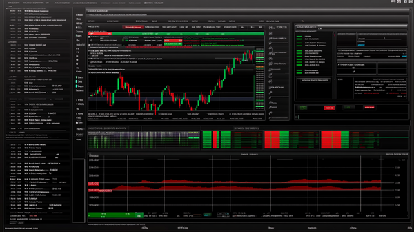 AltınKapital: システムの真実 - 信頼できるか?